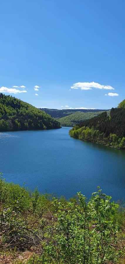 Haus Hasenmueller Lägenhet Schmiedefeld am Rennsteig Exteriör bild